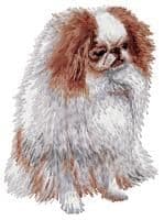 Japanese Chin 2