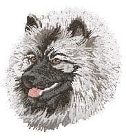 Keeshond 2