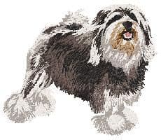 Lowchen (Petit Chien Lion)