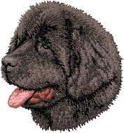 Newfoundland 2