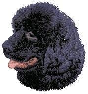 Newfoundland 3