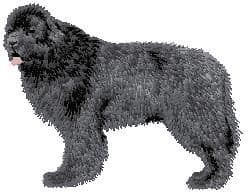 Newfoundland 4