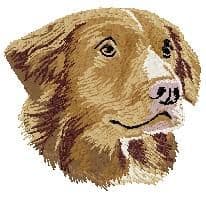 Nova Scotia Duck Tolling Retriever 2