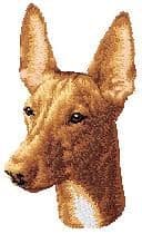 Pharaoh Hound