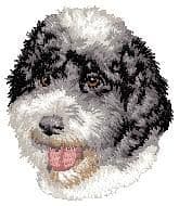 Portuguese Water Dog