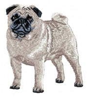 Pug 10