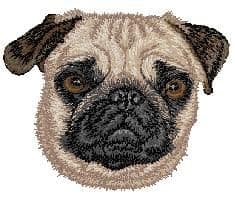 Pug 2