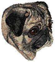 Pug 4
