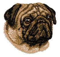 Pug 5