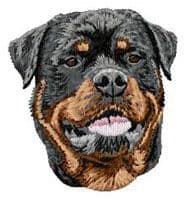 Rottweiler 13