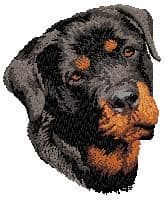 Rottweiler 3