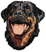 Rottweiler 4