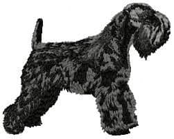 Schnauzer 5