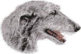 Scottish Deerhound