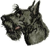 Scottish Terrier