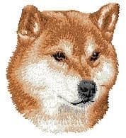 Shiba Inu 2