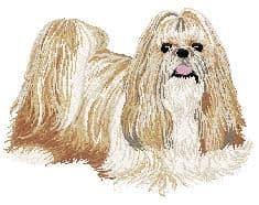 Shih-Tzu 2