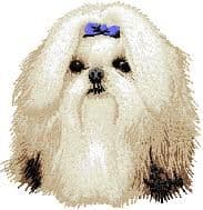 Shih-Tzu