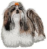 Shih-Tzu 4