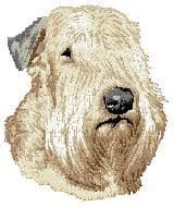 Soft Coated Wheaten Terrier