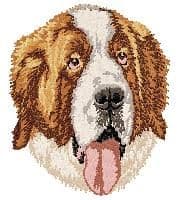 St. Bernhardshund 4