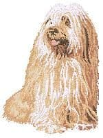 Tibetan Terrier