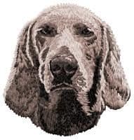 Weimaraner 3