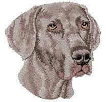 Weimaraner 5
