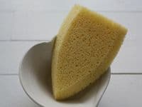 Boat Sponge