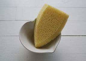 Boat Sponge
