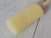 Coffee Pot Sponge