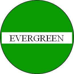 Evegreen 3826 from £3.56