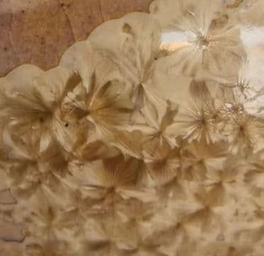 Golden Tourmaline Stoneware Crystalline Glaze 550ml : F656