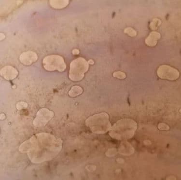 Rose Quartz Stoneware Crystalline Glaze 550ml : F663