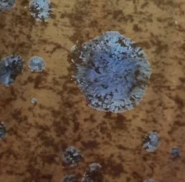 Siderite Stoneware Crystalline Glaze 550ml : F6 60