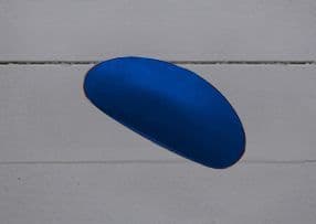 Small Blue Rubber Kidney