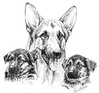 German Shepherd and Pups Letterheads