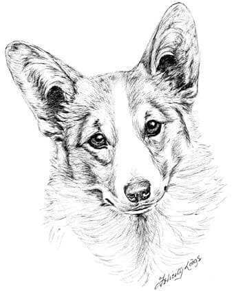 Welsh Corgi Letterheads