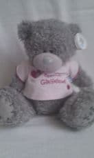 Adorable Big 'Special Girlfriend' Me to You Bear + Tag