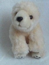Adorable My 1st Baby Polo Bear Plush Toy