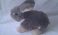 Adorable My 1st Cute Baby Bunny Rabbit Plush Toy