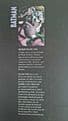 Batman The Killing Joke  Graphic Novel by DC Comics (Hardback 2008)