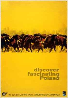 Discover Poland, Buffalos, Polish Travel Poster