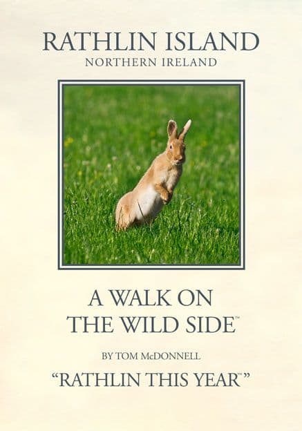 Irish Hare running, Rathlin Island, Northern Ireland.  Vintage inspired travel poster, Tom McDonnell
