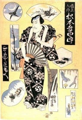 Japanese Samurai warrior poster - Traditional Kimono