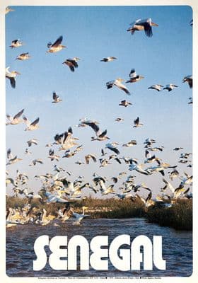 Senegal Vintage Travel Poster Pelican Birds.  Djoudj National Bird Sanctuary