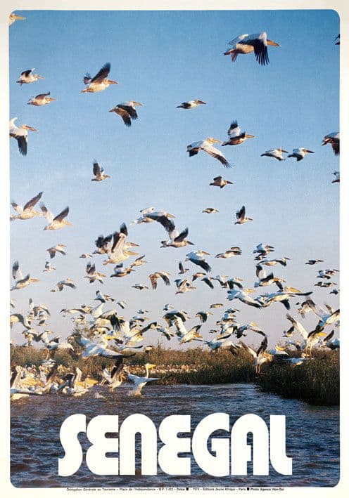 Senegal Vintage Travel Poster Pelican Birds.  Djoudj National Bird Sanctuary