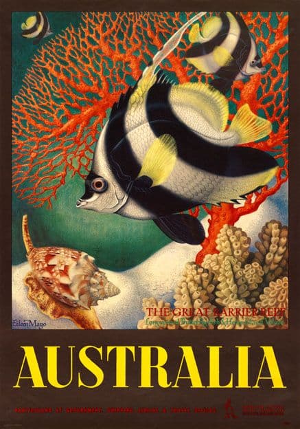 The Great Barrier Reef, Longspined Butterfly-fish & Heron Island Volute, Australia. Vintage Travel poster
