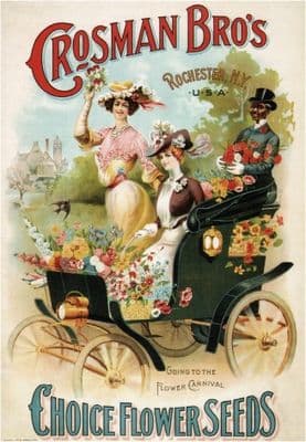 Vintage advertisment poster - Crosman Bros, Choice Flower seeds.