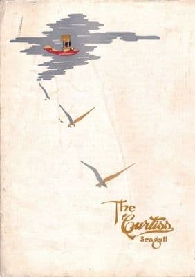 Vintage aviation poster - Curtiss Seagull 1919